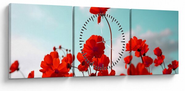 Obraz pola z jasnoczerwonymi kwiatami (z zegarem) (90x30 cm)