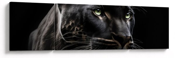 Obraz - Czarna Pantera (170x50 cm)