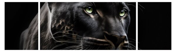Obraz - Czarna Pantera (170x50 cm)