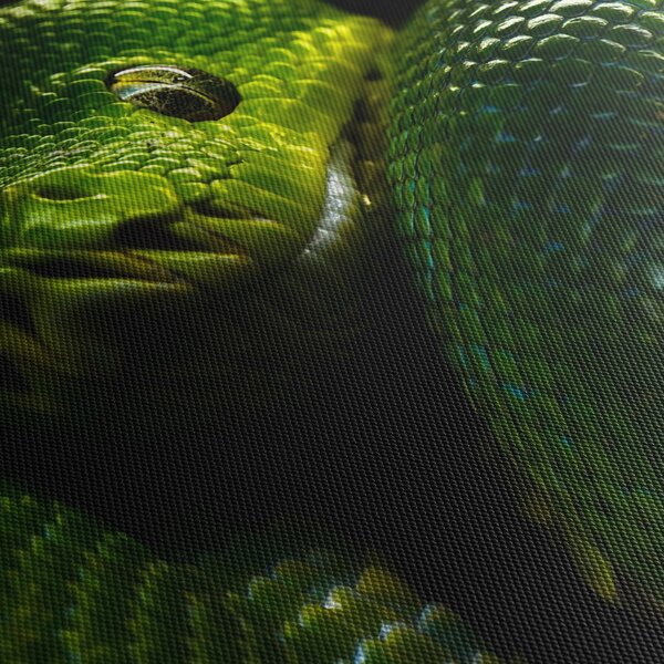 Obraz - Zielony wąż (125x70 cm)