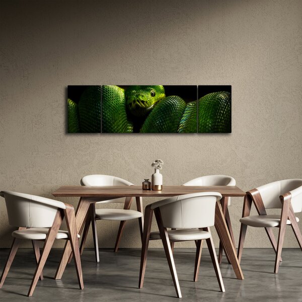 Obraz - Zielony wąż (170x50 cm)