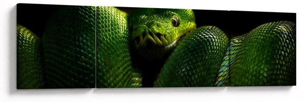 Obraz - Zielony wąż (170x50 cm)