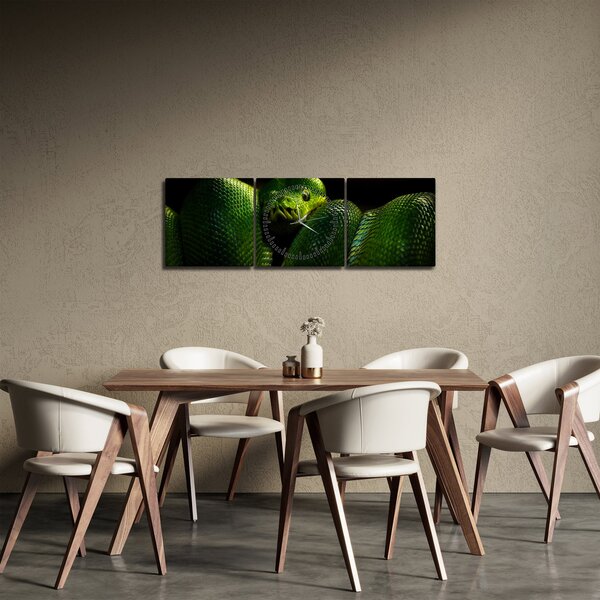 Obraz - Zielony wąż (z zegarem) (90x30 cm)