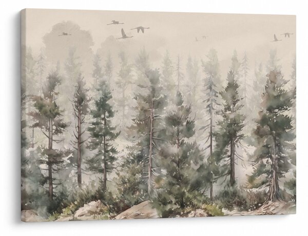 Obraz - Pine forest I., aquarel (70x50 cm)
