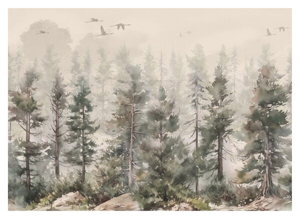 Obraz - Pine forest I., aquarel (70x50 cm)