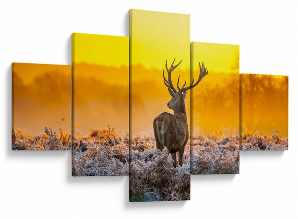 Obraz - Jeleń o wschodzie słońca (125x70 cm)