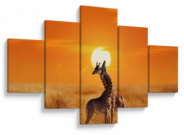 Obraz - Żyrafy w Parku Narodowym Serengeti (125x70 cm)