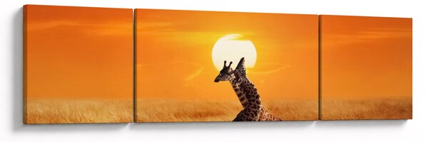 Obraz - Żyrafy w Parku Narodowym Serengeti (170x50 cm)