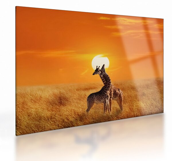Obraz na szkle - Żyrafy w Parku Narodowym Serengeti (70x50 cm)