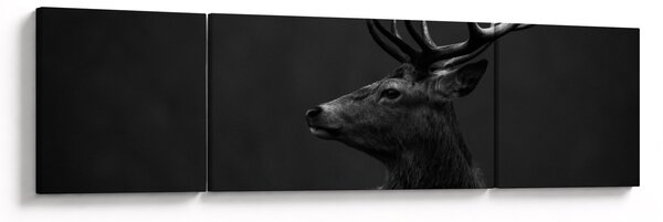 Obraz - Portret jelenia (170x50 cm)