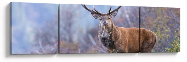 Obraz - Jeleń w krajobrazie (170x50 cm)