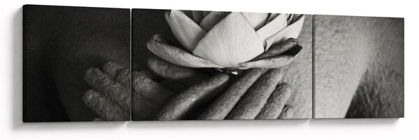 Obraz - Lotos w rękach Buddy (170x50 cm)
