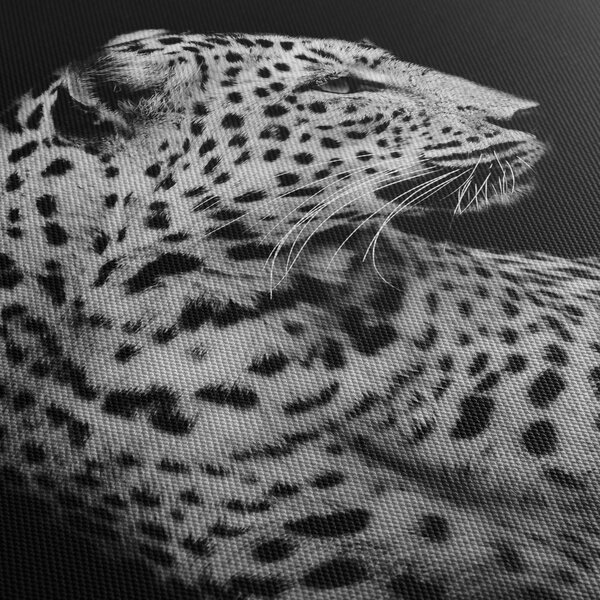 Obraz - Lampart (170x50 cm)