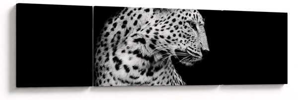 Obraz - Lampart (170x50 cm)