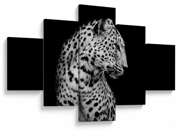 Obraz - Lampart (125x70 cm)