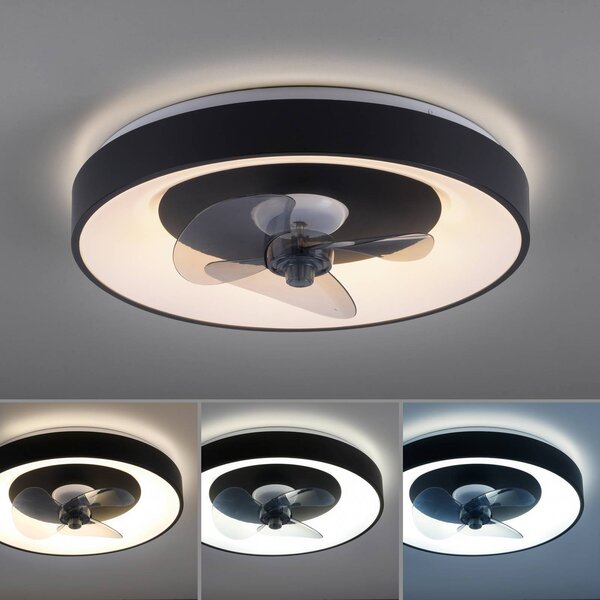 JUST LIGHT. GmbH Wentylator sufitowy LED Venika, czarny CCT, z pilotem, średnica 48,6 cm możliwość ściemniania, czarny, salon / jadalnia, metal, nowoczesny