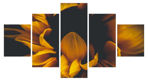 Obraz - Słoneczniki na czarnym tle (125x70 cm)