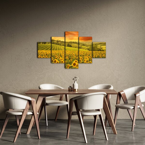 Obraz - Pole słoneczników (125x70 cm)