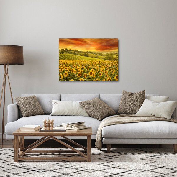 Obraz - Pole słoneczników (70x50 cm)
