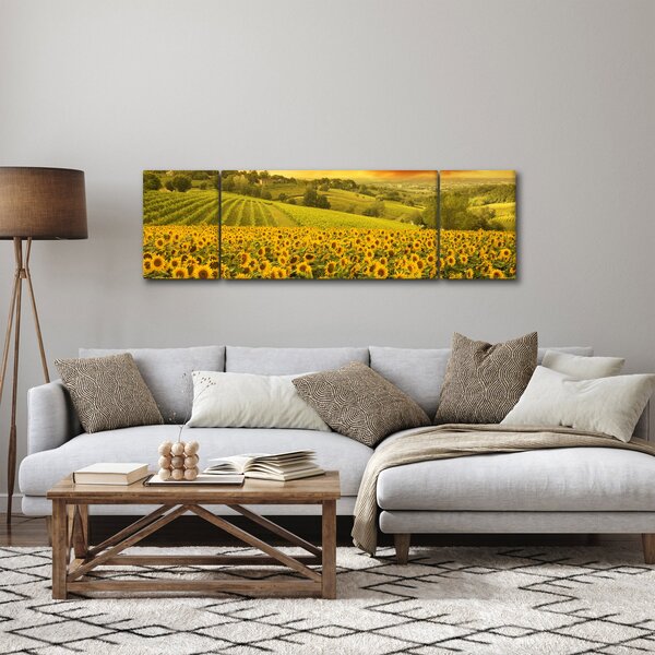 Obraz - Pole słoneczników (170x50 cm)