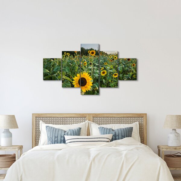 Obraz - Sunflower Field II. (125x70 cm)