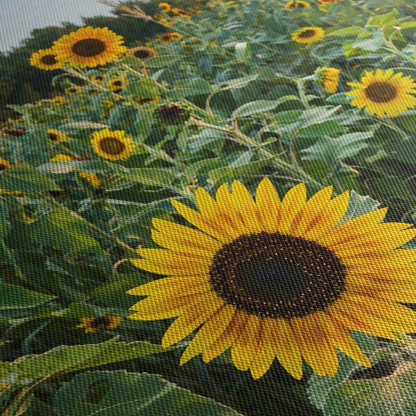Obraz - Sunflower Field II. (170x50 cm)