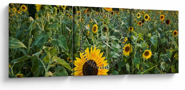 Obraz - Sunflower Field II. (z zegarem) (90x30 cm)