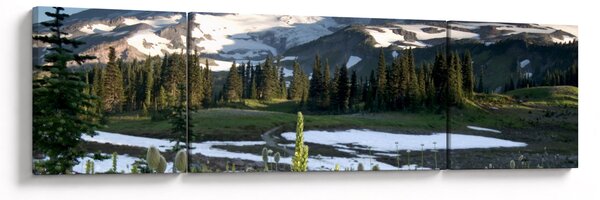 Obraz - Mount Rainier (170x50 cm)
