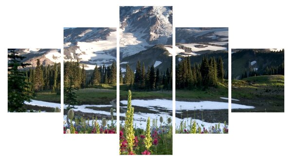 Obraz - Mount Rainier (125x70 cm)