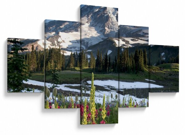 Obraz - Mount Rainier (125x70 cm)