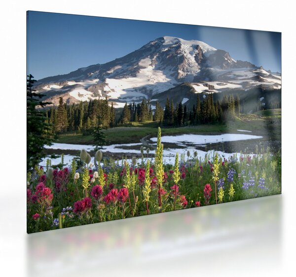 Obraz na szkle - Mount Rainier (70x50 cm)