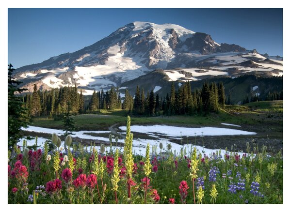 Obraz na szkle - Mount Rainier (70x50 cm)