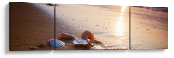Obraz - Małże (170x50 cm)
