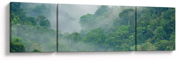 Obraz - Poranna mgła (170x50 cm)