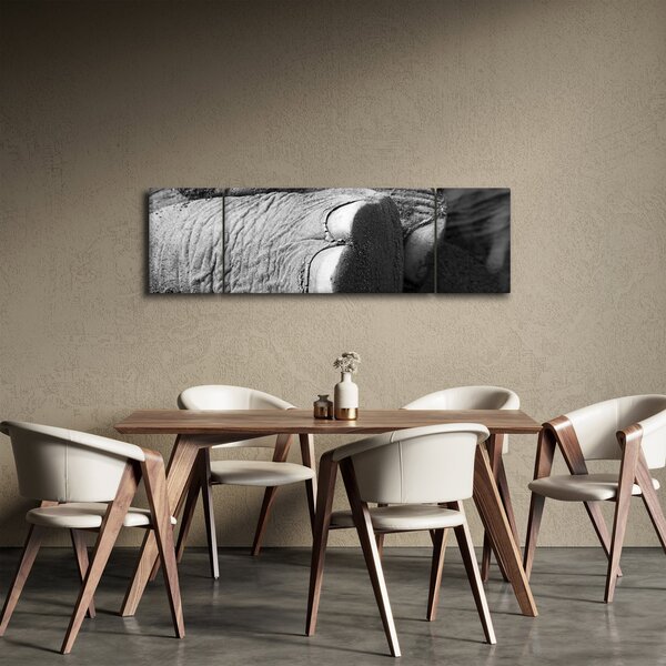 Obraz - Noga słonia (170x50 cm)