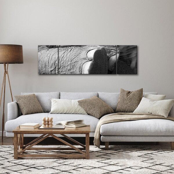 Obraz - Noga słonia (170x50 cm)