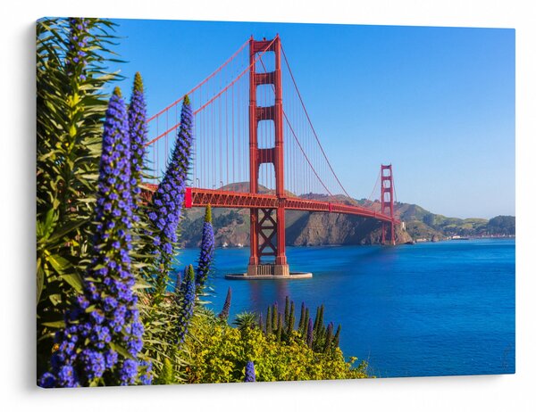 Obraz - Most Golden Gate, San Francisco (70x50 cm)