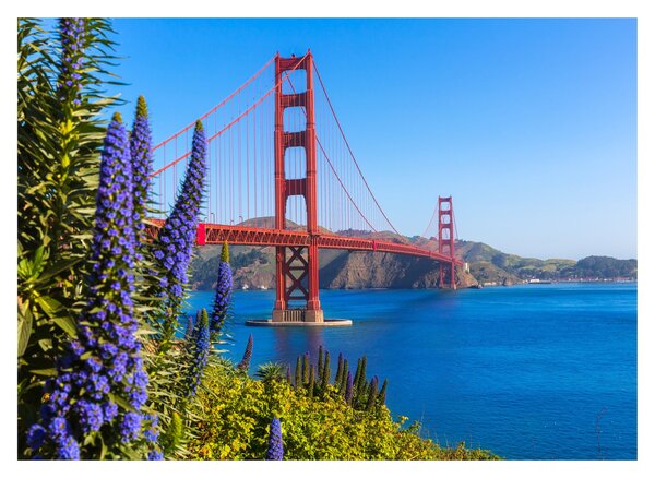 Obraz na szkle - Most Golden Gate, San Francisco (70x50 cm)