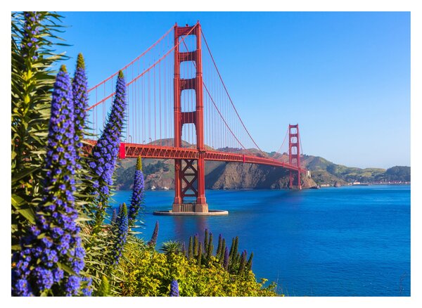 Obraz - Most Golden Gate, San Francisco (70x50 cm)