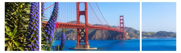 Obraz - Most Golden Gate, San Francisco (170x50 cm)