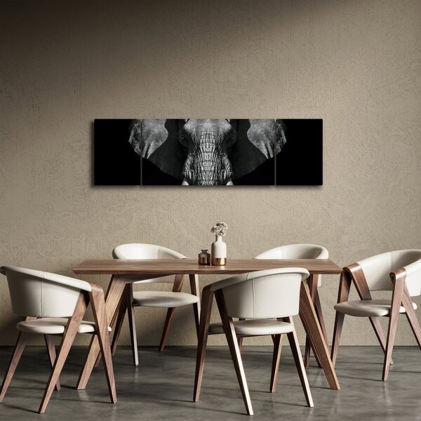 Obraz - Słoń na czarnym tle (170x50 cm)