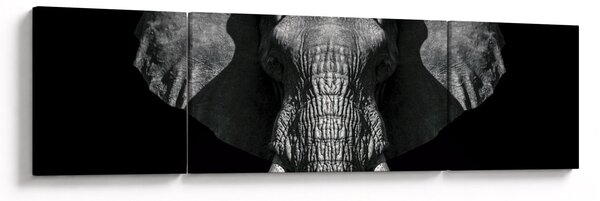 Obraz - Słoń na czarnym tle (170x50 cm)