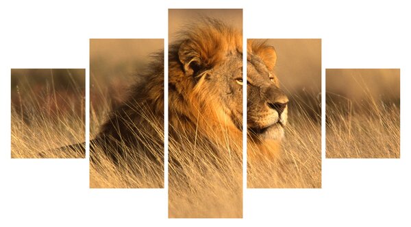 Obraz - Park Narodowy Etosha (125x70 cm)