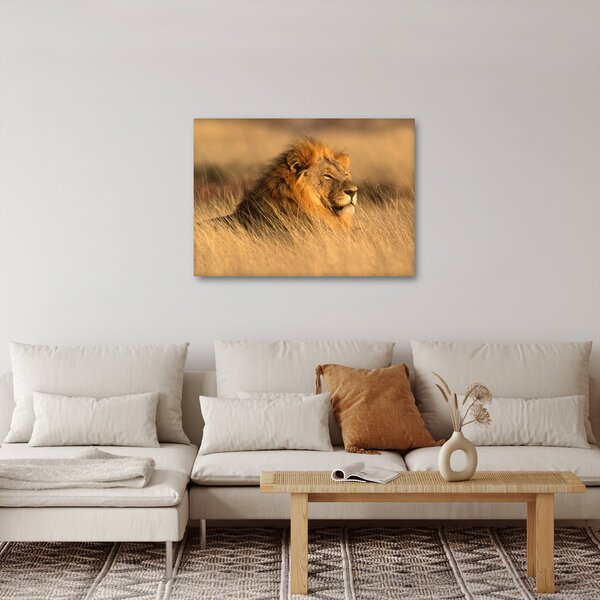 Obraz - Park Narodowy Etosha (70x50 cm)