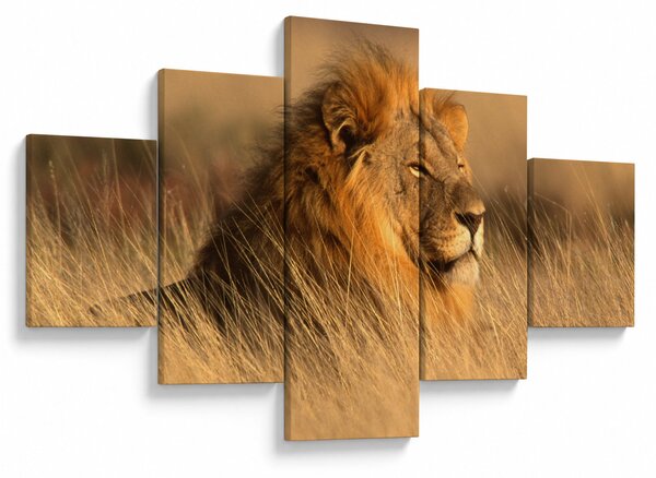 Obraz - Park Narodowy Etosha (125x70 cm)