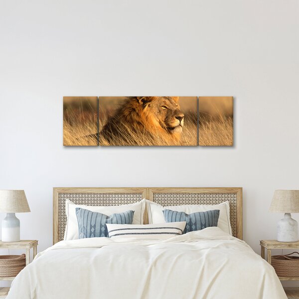 Obraz - Park Narodowy Etosha (170x50 cm)