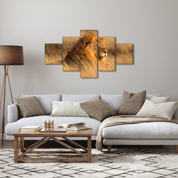 Obraz - Park Narodowy Etosha (125x70 cm)