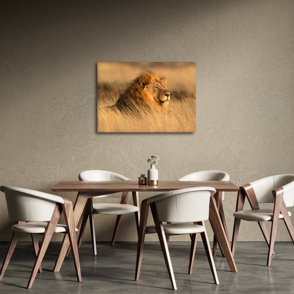 Obraz - Park Narodowy Etosha (70x50 cm)