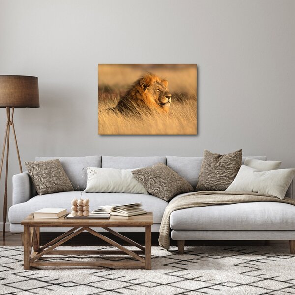 Obraz - Park Narodowy Etosha (70x50 cm)