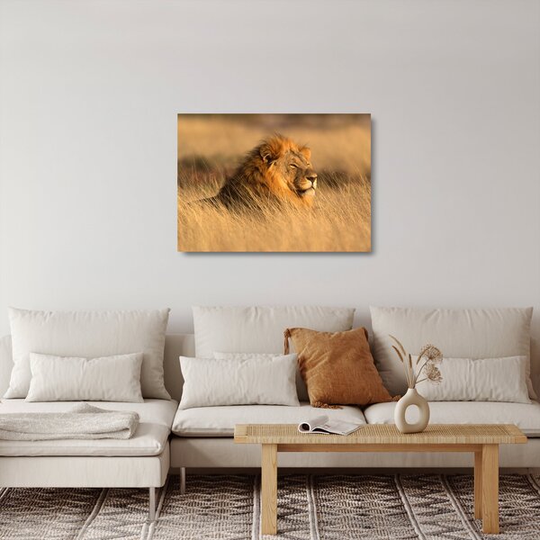 Obraz na szkle - Park Narodowy Etosha (70x50 cm)